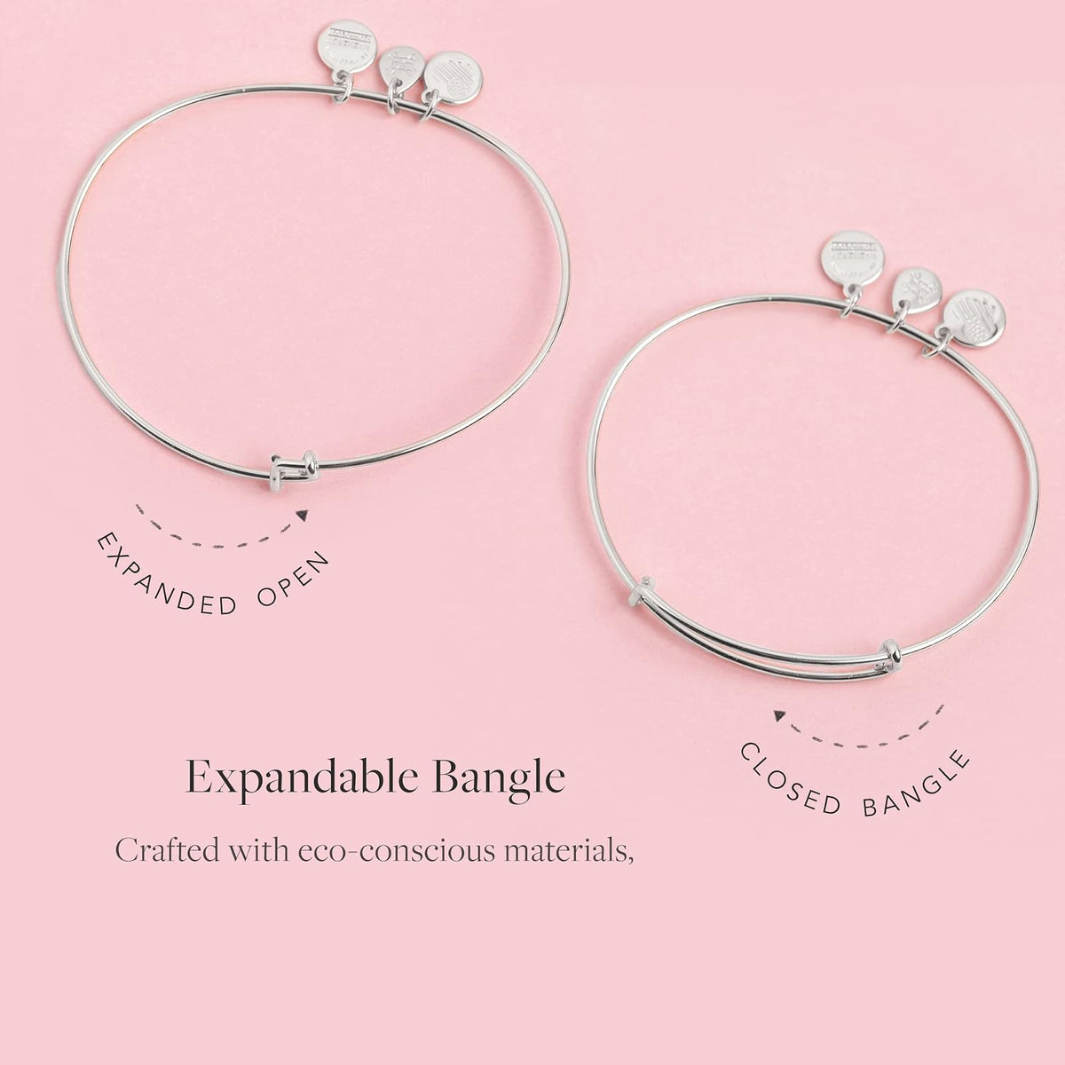 Alex and Ani - Pulsera de alambre expandible para mujer, con acabado brillante de plata envejecida, de 2 a 3.5 pulgadas, Expandable, Metal, Sin gemas.