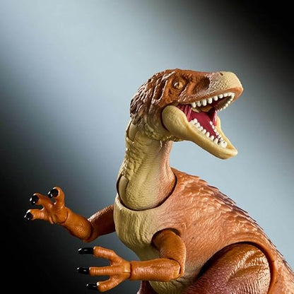 Jurassic World Hammond Collection Dinosaurio de Juguete Ornitholestes 8+ | Figura de dinosaurio de alta calidad con ojos realistas, 18 puntos de articulación y garras intercambiables, JKM91
