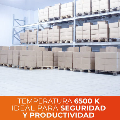 Tecnolite - Paquete de 10 Focos Led A19 para Iluminación Interior, 14 W y 1300 Lumens, Luz Fría de Día, No Atenuable, Ahorrador de Energía Eléctrica