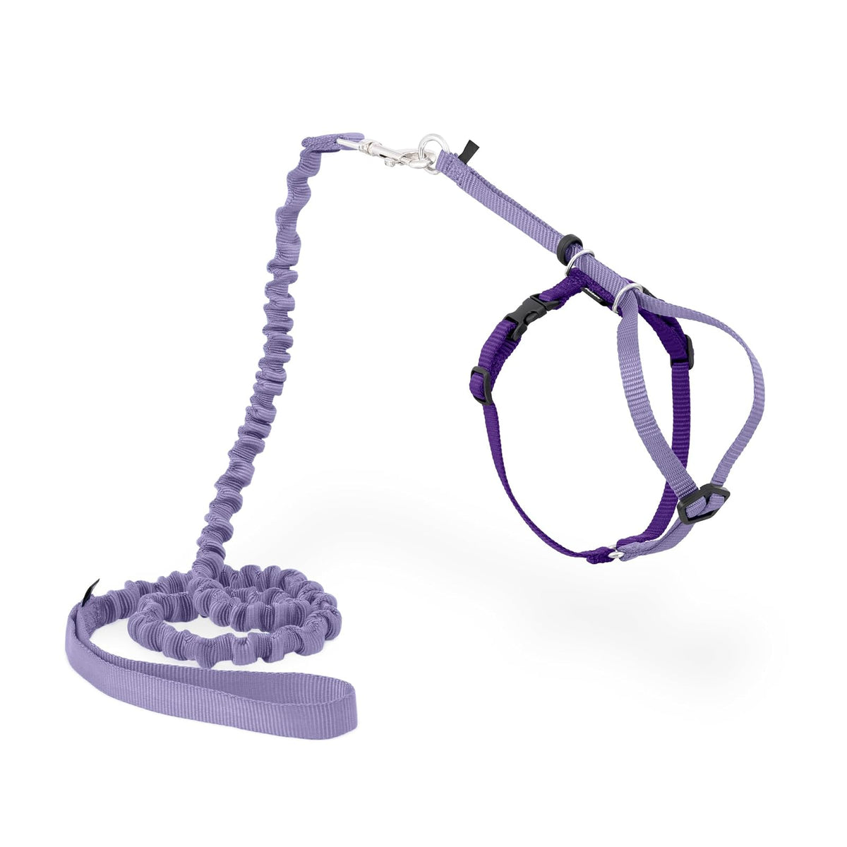 PetSafe Come with Me Arnés y Correa Elástica para Gatito - Medium (Pack of 1) - Morado - morado brillante.