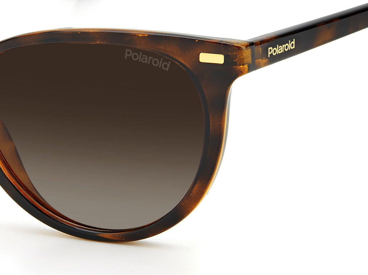 Polaroid Damen Sonnenbrille