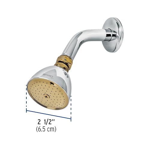 Foset Aqua R-509G Regadera cónica 2-1/2" cromo-oro brazo y chapetón acero