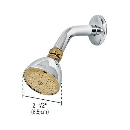 Foset Aqua R-509G Regadera cónica 2-1/2" cromo-oro brazo y chapetón acero