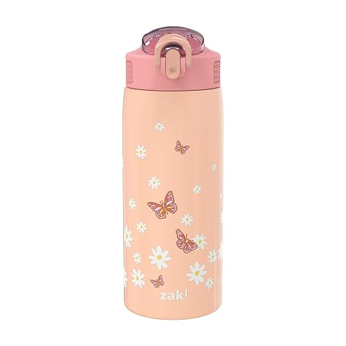 Zak Designs - Botella de agua para viajes y en casa, 19 onzas aislada al aspiradora de acero inoxidable con tapa de boquilla de bloqueo, bucle de transporte integrado, diseño a prueba de fugas