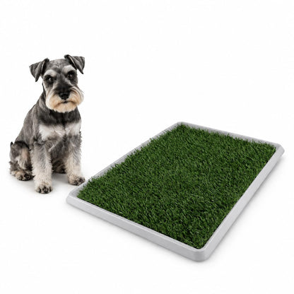 Fancy Pets Tapete de Entrenamiento para Perros Doggie Grass | Pasto Sintético con Bandeja y Rejilla | XCH 50x40 cm