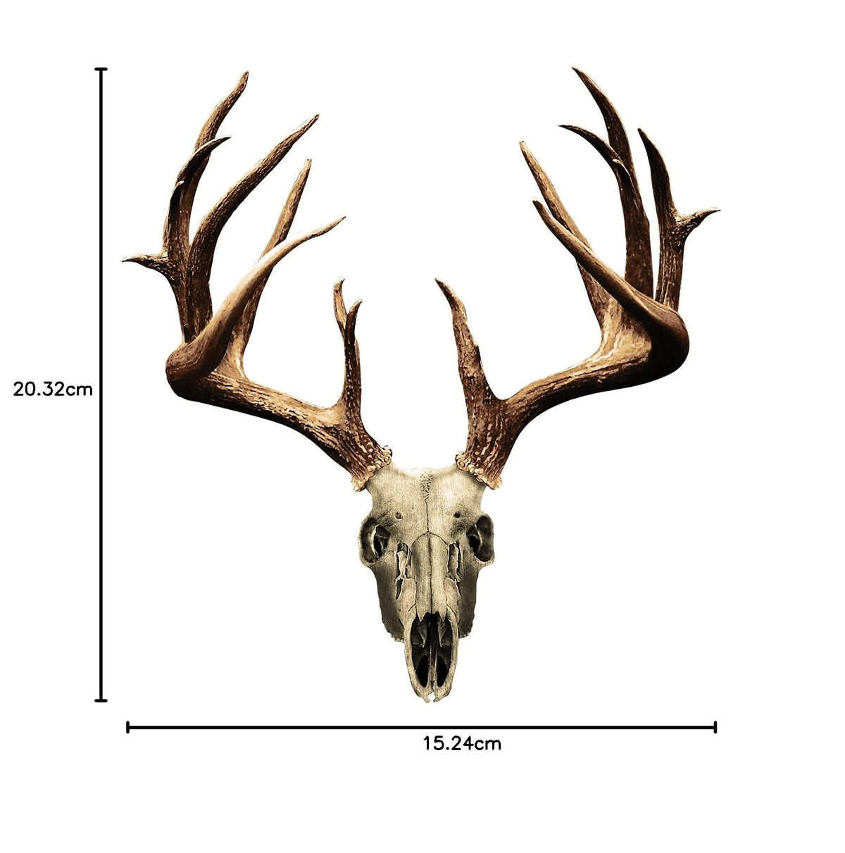 Mossy Oak Graphics - Calcomanía de Animales, fácil de Instalar, no se decolora, Vinilo Fundido, Whitetail NT 13021-S-NT 8 x 6 Pulgadas