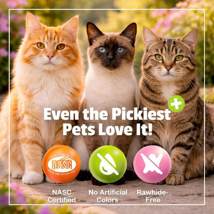 Pet Naturals of Vermont L-Lysine Fun-Shaped Chews for Cats