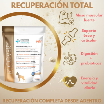 Fancy Pets MS Recovery Suplemento de Proteína para Perros 400 g Suplemento Nutricional con Colágeno y Vitaminas para Apoyo Muscular y Vitalidad