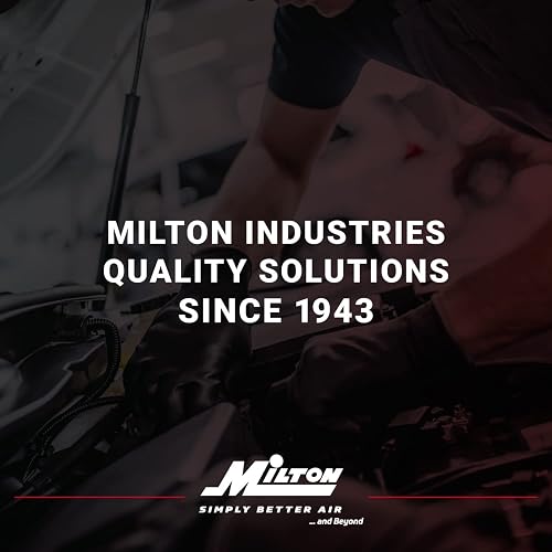 Milton (S-690 1/4" FNPT Dual Head Air Chuck
