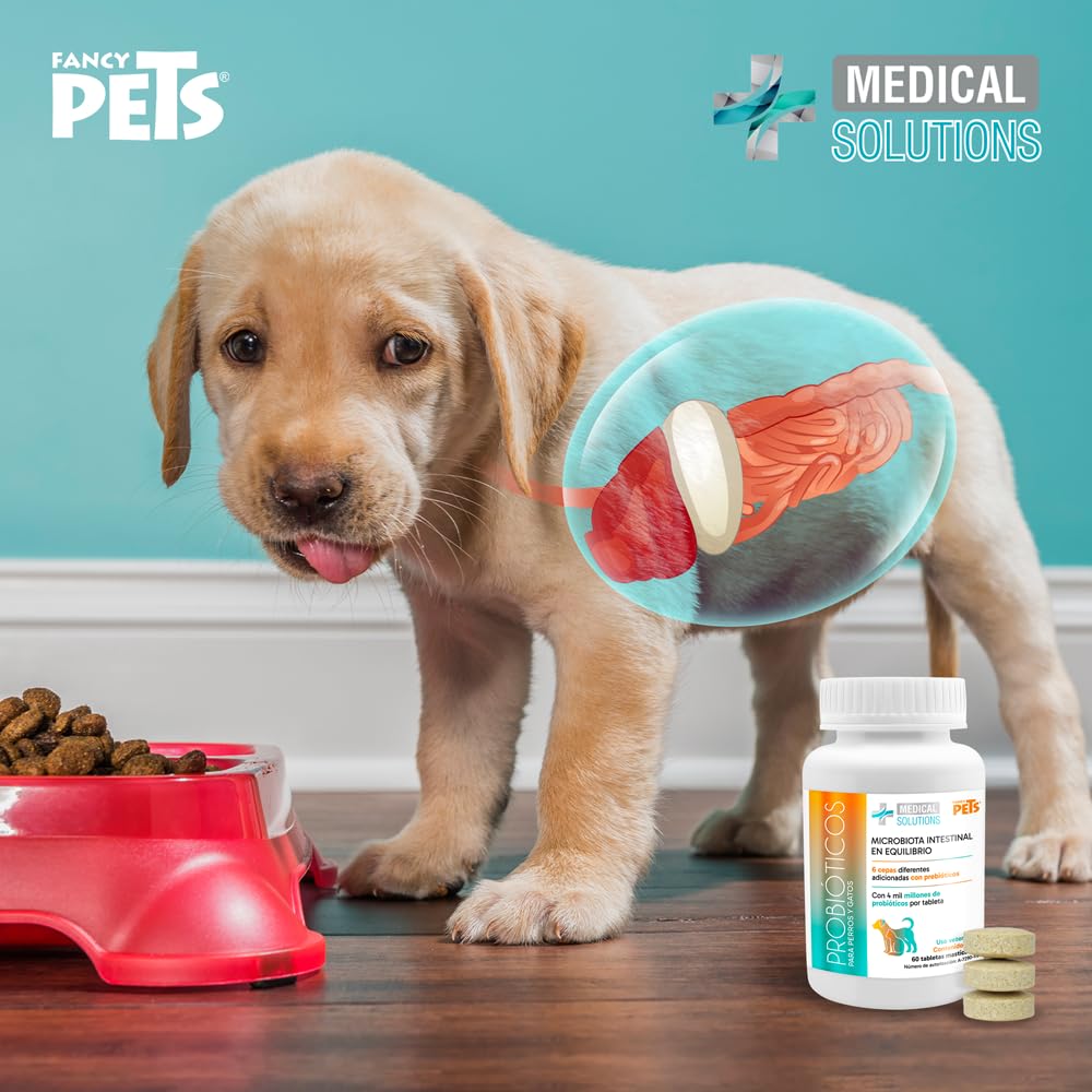Fancy Pets MS Probióticos para Perros y Gatos con 60 Tabletas