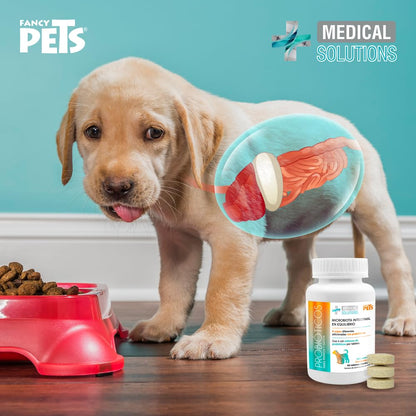Fancy Pets MS Probióticos para Perros y Gatos con 60 Tabletas