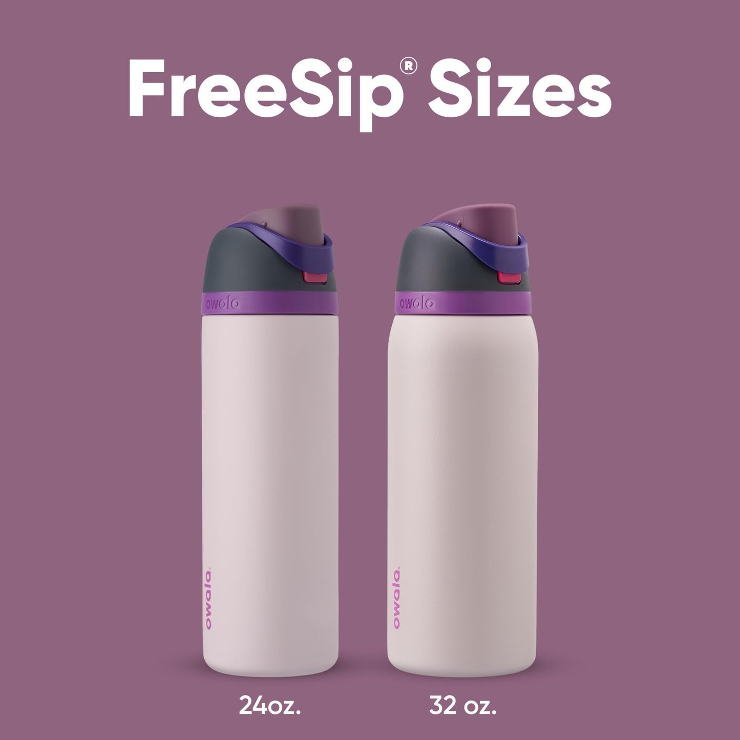 Owala FreeSip Insulated Stainless Steel Water Bottle with Straw for Sports and Travel, BPA-Free, 24oz, Dreamy Field