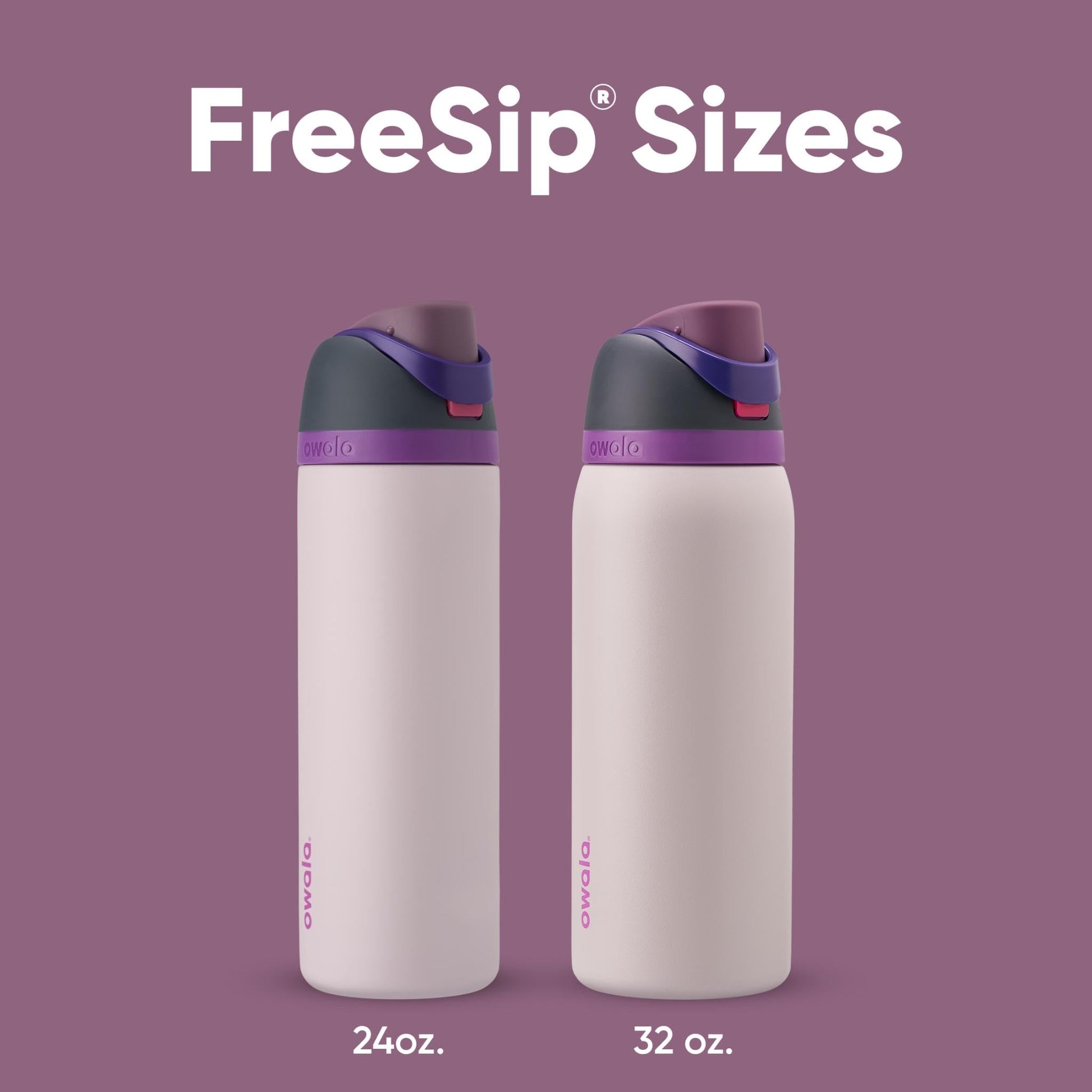 Owala FreeSip Insulated Stainless Steel Water Bottle with Straw for Sports and Travel, BPA-Free, 24oz, Dreamy Field