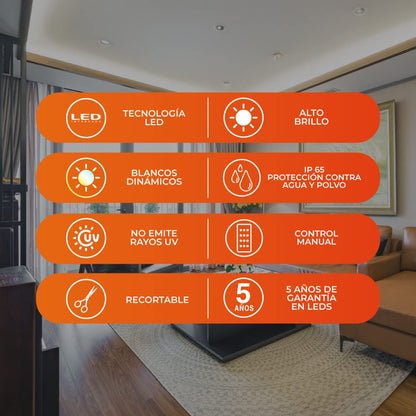 Tecnolite Tira LED 5 Metros 24 W - Luz Blanca Ajustable, Atenuable, Control Remoto Incluido, IP65 Impermeable Resistente al Agua, Strip Light, Tira de Luz para Interiores y Exteriores