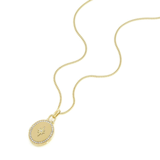 Fossil Collar jf04735710 sadie locket collection de acero inoxidable en color dorado para dama