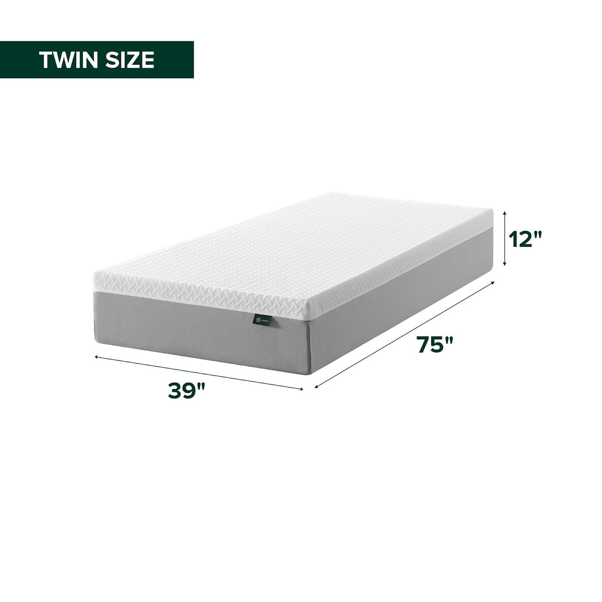ZINUS - Colchón de Espuma viscoelástica Esencial de té Verde de 8 Pulgadas, Cama en una Caja, colchón asequible, Certificado CertiPUR-US,