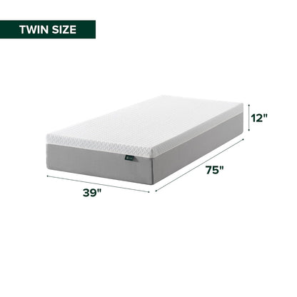 ZINUS - Colchón de Espuma viscoelástica Esencial de té Verde de 8 Pulgadas, Cama en una Caja, colchón asequible, Certificado CertiPUR-US,