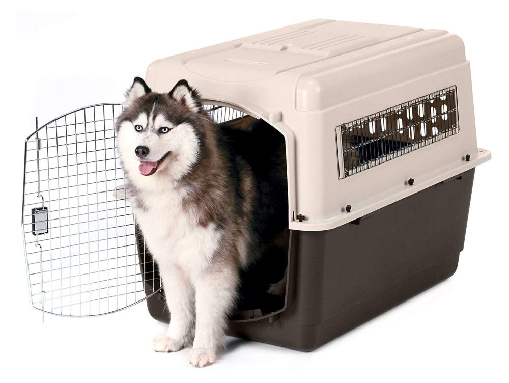 Petmate, Caseta para perros Ultra Vari, resistente, sin herramientas, 4 tamaños, 101 cm