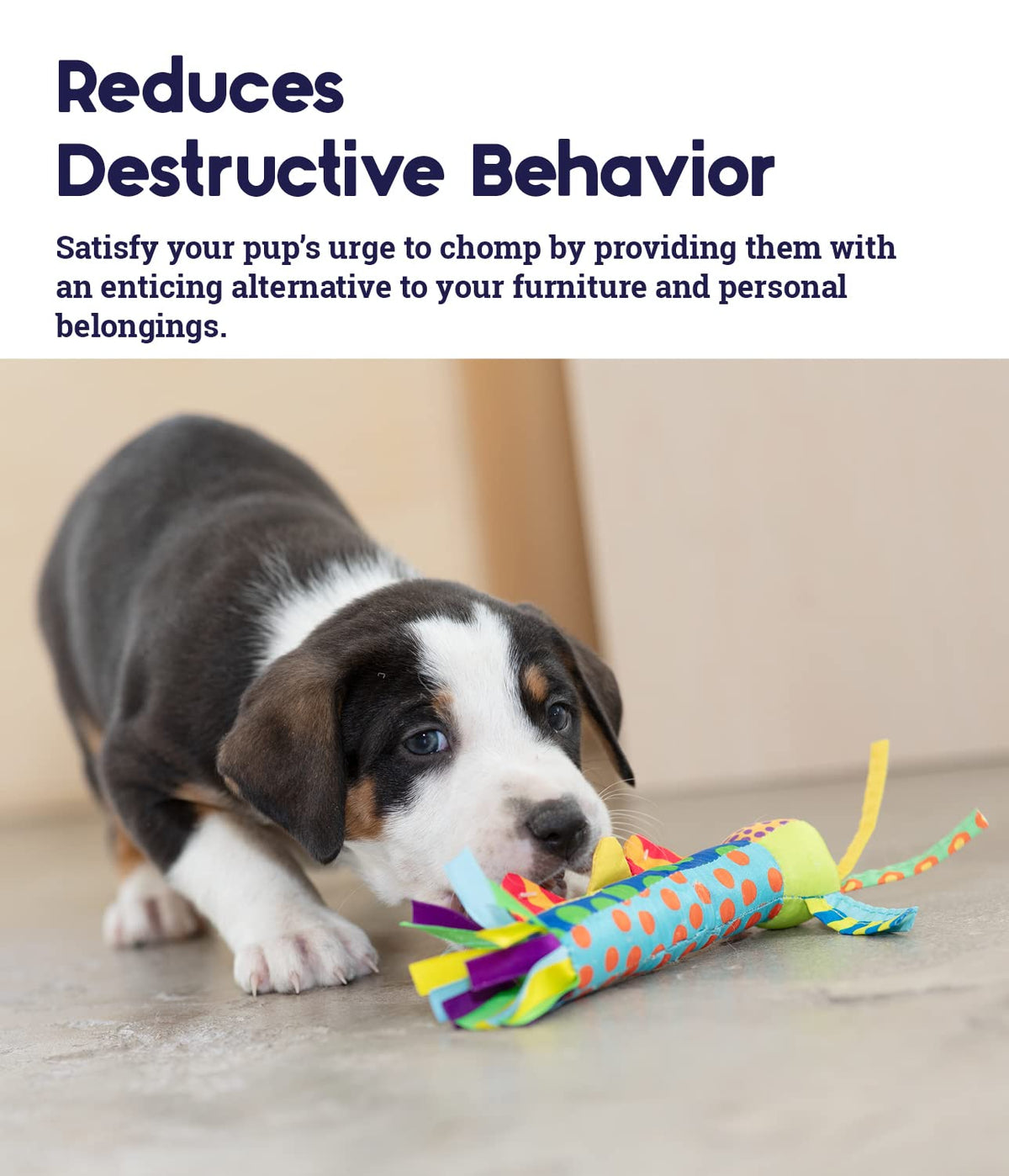Dog Toy Pet Stages Cool Teething Stick