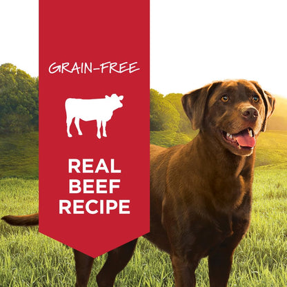 Instinct, Lata de Receta de Res para Perros, 6 Pack