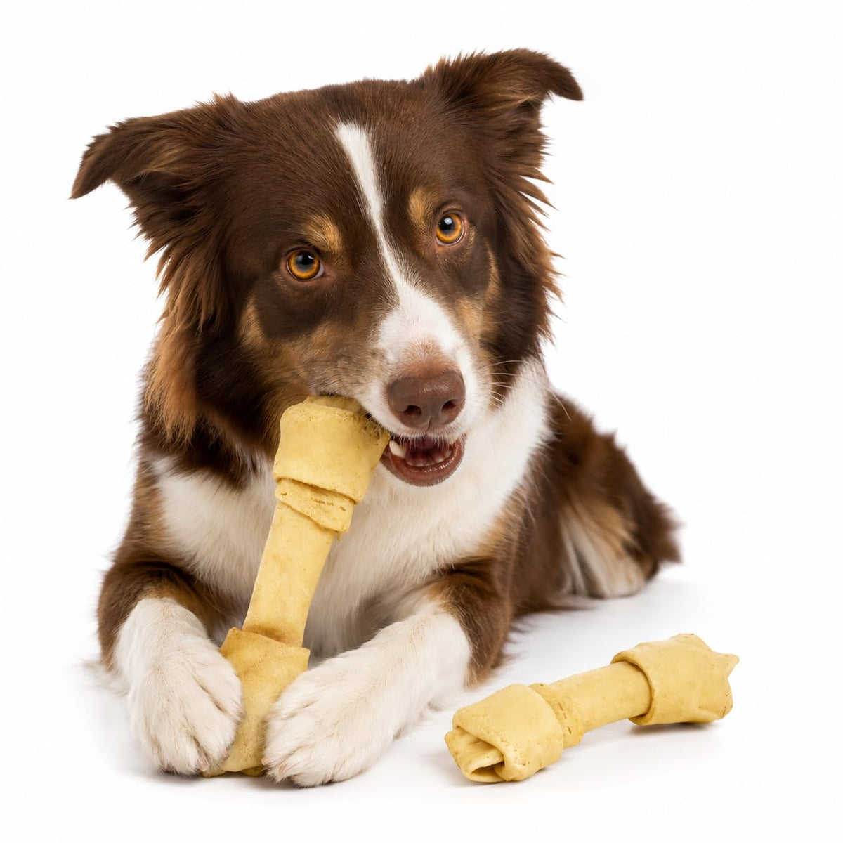 Fancy Pets Carnaza Sabor Natural para Perro de 17 a 20 Centímetros con 2 Piezas