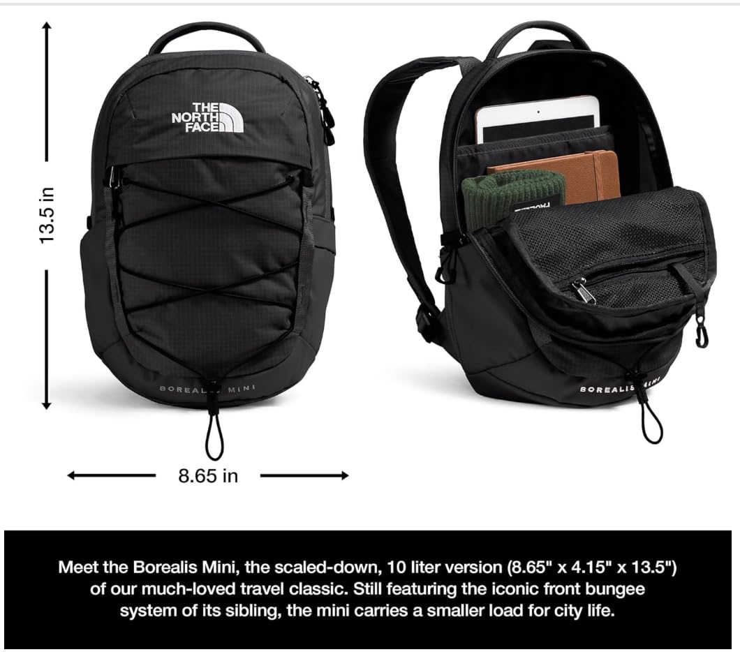 THE NORTH FACE Borealis Mini mochila