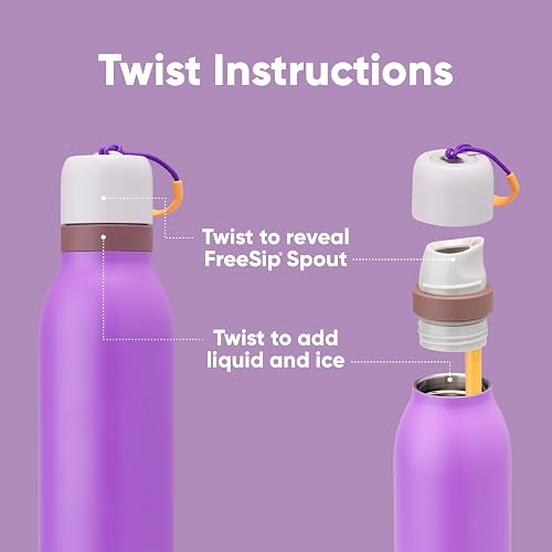 Owala FreeSip - Botella de agua de acero inoxidable con popote para deportes y viajes, sin BPA, 18 onzas, morado (California Grapevine)