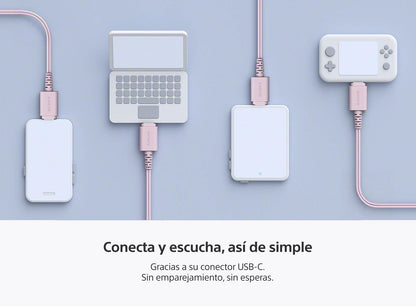 Sony IER-EX15C | Auriculares in Ear con Cable USB-C, Rosa