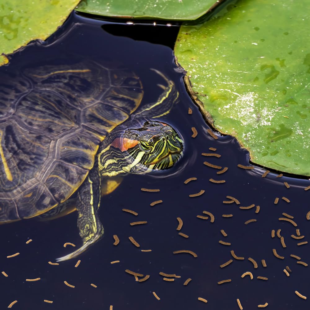 Lomas Alimento para Tortugas, Ranas y Tritones 1.5 kg, en Sticks para Reptiles Acuáticos y Anfibios, Vitaminas y Calcio para Desarrollo Saludable