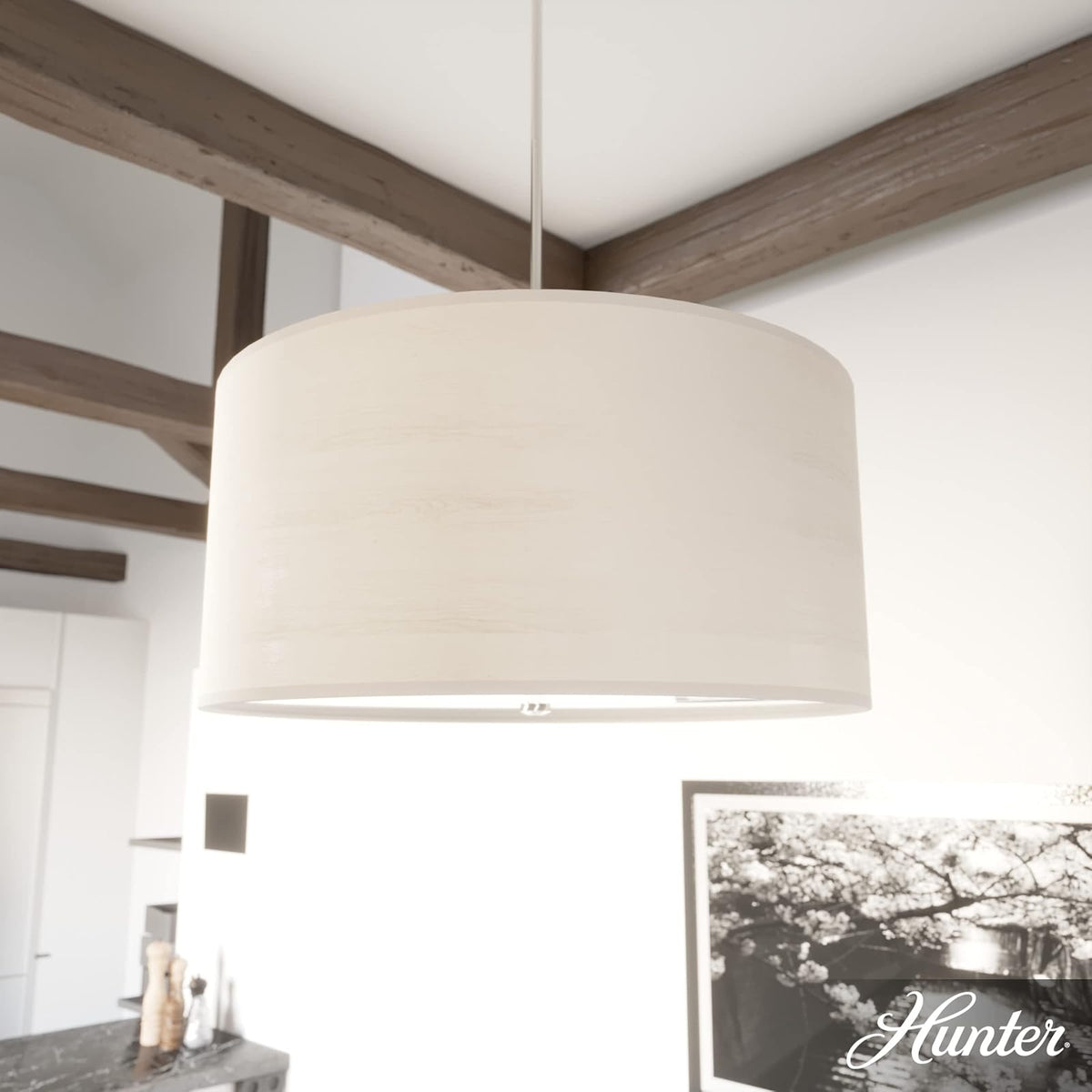 Hunter Fan, Colgante Solhaven, Luminaria Colgante, Aliso