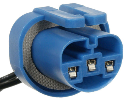 ACDelco Professional LS256 Enchufe para Faros Delanteros, Azul
