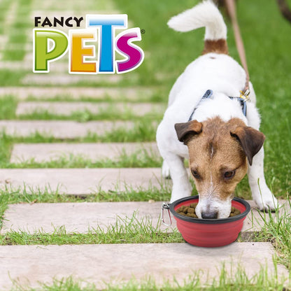 Fancy Pets Plato Plegable para Viaje Tamaño Mediano para Perro y/o Gato, Varios Colores