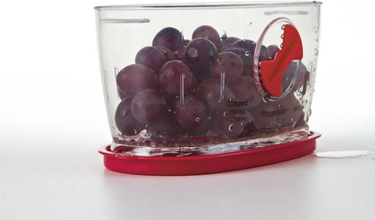 Progressive Recipiente para fruta fresca, vegetales, bayas y lechuga, Berry Keeper, Rojo, 2 Tazas, 1