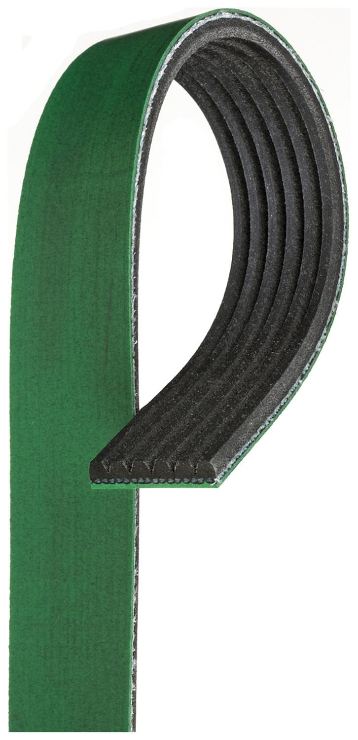 ACDelco Correa Serpentina Acanalada en V Heavy Duty Gold K060935HD, Verde/Negro