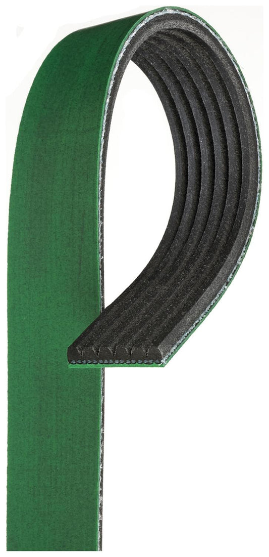 ACDelco Correa Serpentina Acanalada en V Heavy Duty Gold K060935HD, Verde/Negro