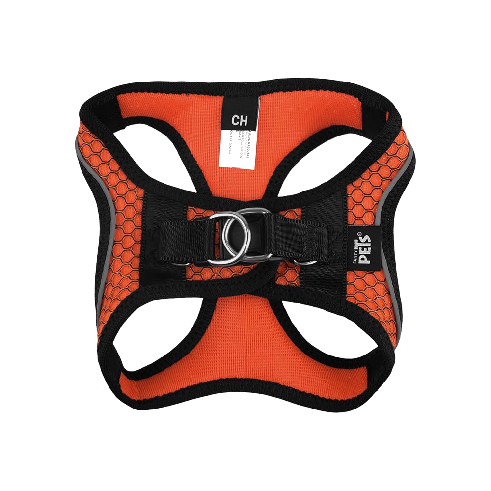 Fancy Pets Set con Arnés Y Correa Sportie para Perro Tamaño Chico Color Naranja