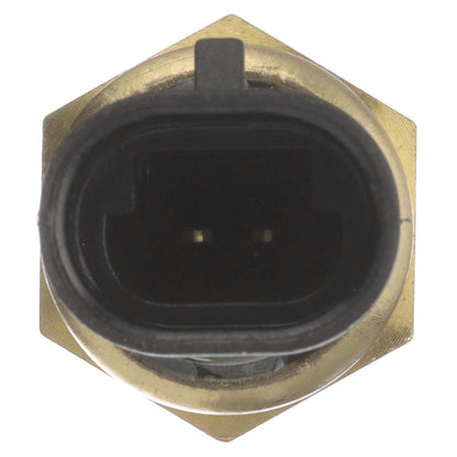 Delphi Sensor de Temperatura del Refrigerante TS10075, Dorado