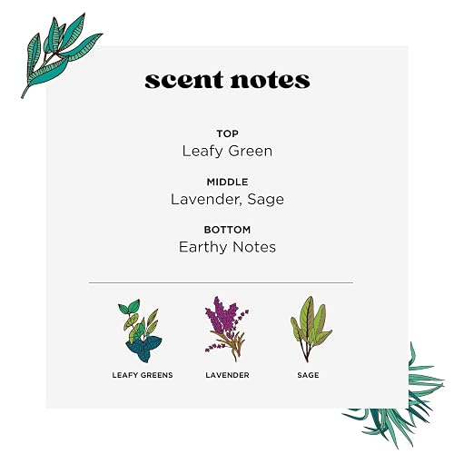 Home-Pourri | Aromatizante Antiolores | Air Spray neutralizador de olores | ambientador para la casa | eliminador y neutralizadar de olores | Tecnología Funk Lock | olor lavanda | 325 ml