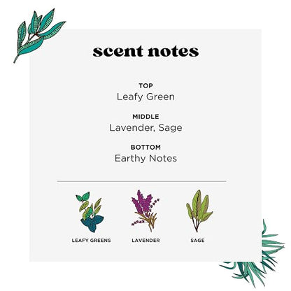 Home-Pourri | Aromatizante Antiolores | Air Spray neutralizador de olores | ambientador para la casa | eliminador y neutralizadar de olores | Tecnología Funk Lock | olor lavanda | 325 ml