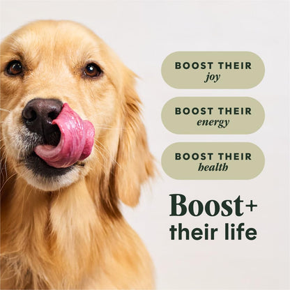 Instinct Raw Boost Croquetas para Perro, Receta de Pollo 9kg