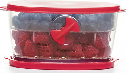 Progressive Recipiente para fruta fresca, vegetales, bayas y lechuga, Berry Keeper, Rojo, 2 Tazas, 1