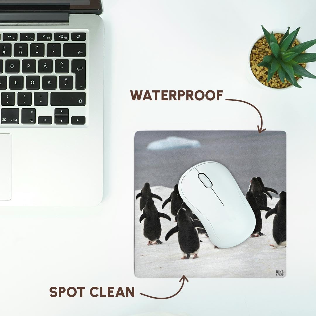 3dRose 8 x 8 x 0.25 Inches Gentoo Penguin Mouse Pad (mp_10513_1)