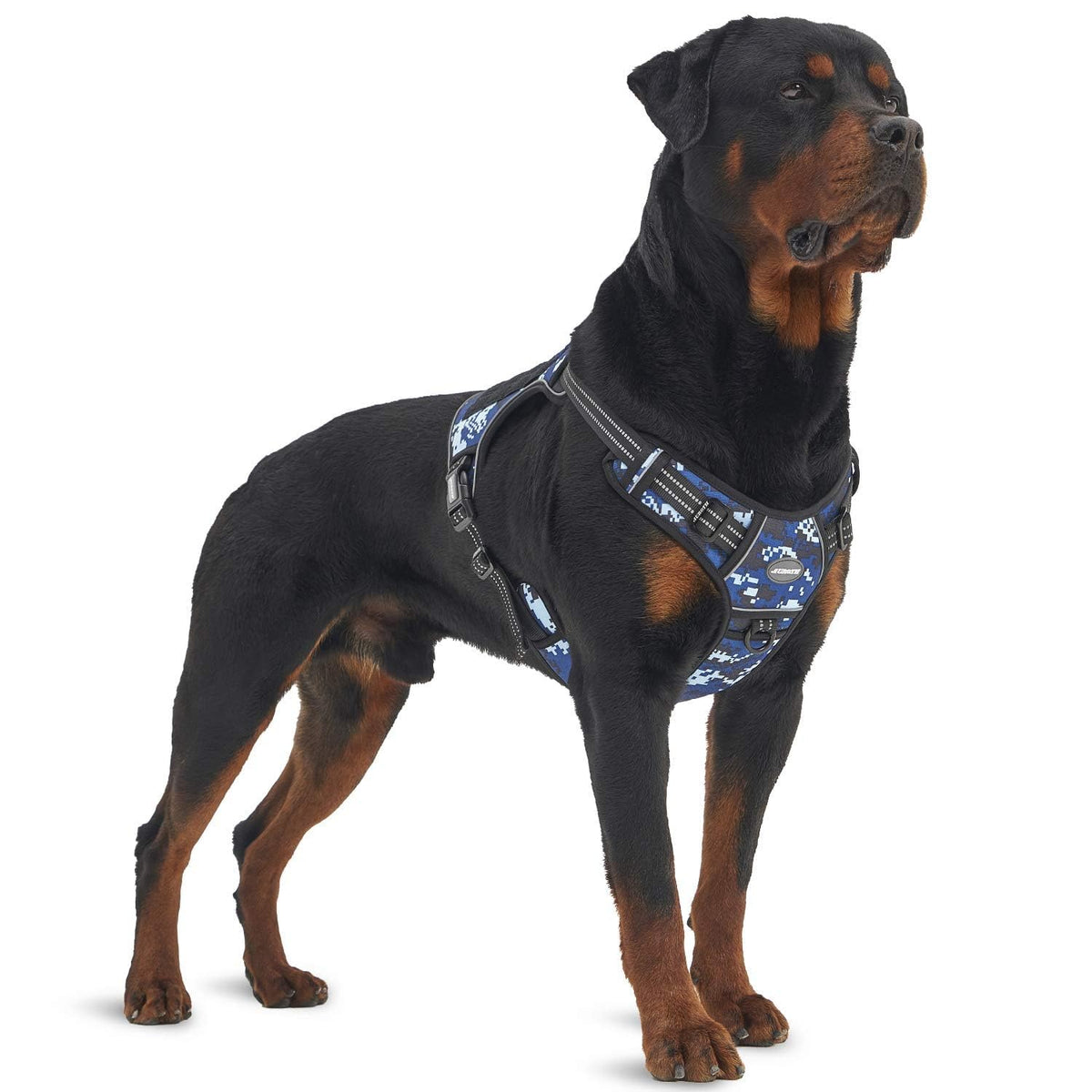 Auroth Arnés Táctico para Perro, Sin Tirones, Reflectante, Ajustable - Camuflaje azul - L