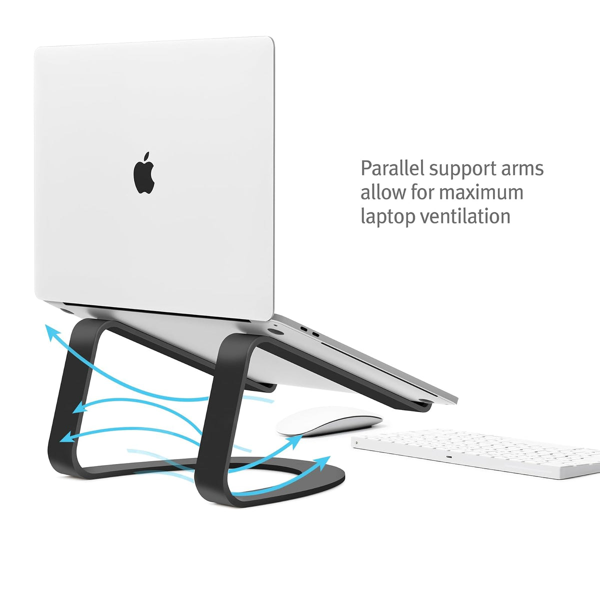 Twelve South 12-1708 Soporte Curvo para Notebook y Netbooks Negro