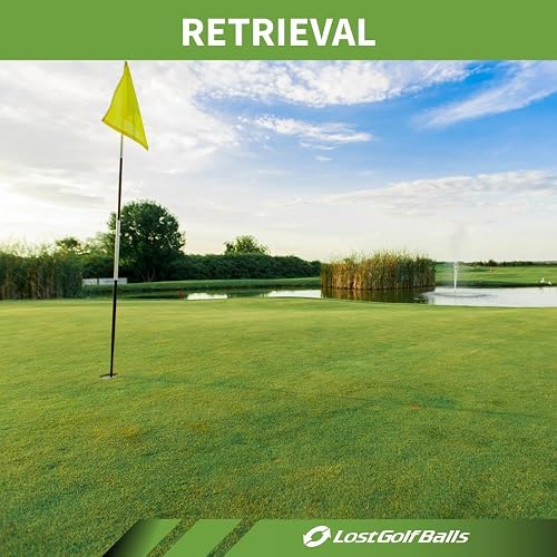 Titleist Reload - Pelotas de Golf recicladas Pro v1 (Paquete de 30) | RELOAD — El fabricante confiable de pelotas de golf reacabadas Titleist Pro V1 & Pro V1x