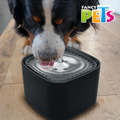 Fancy Pets Bebedero Automático para Perros y Gatos, 3L, con Filtro de Carbón Activado, Agua Fresca, Recirculación Silenciosa, Diseño Cubo Negro