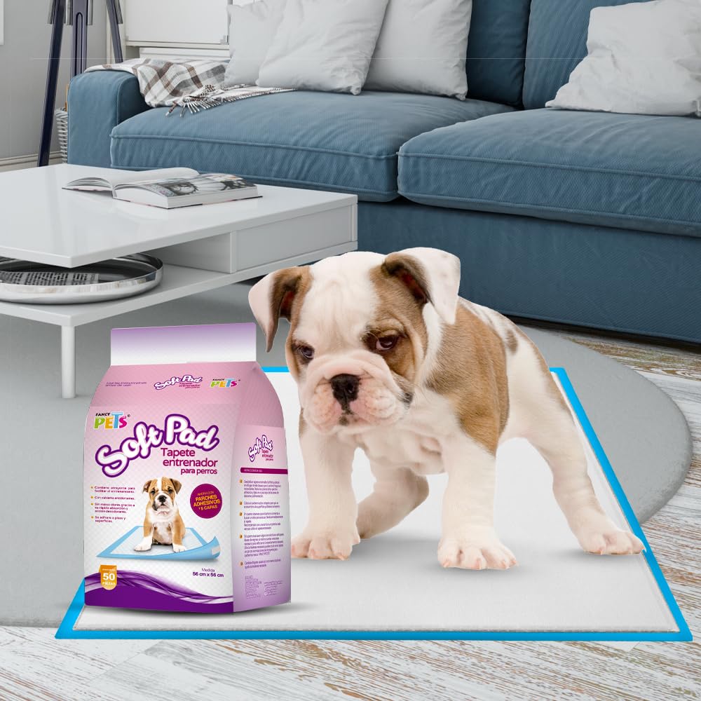 Fancy Pets Tapete Entrenador para Perros Soft Pad, 50 Pzas, Súper Absorbente, con Atrayente y Antiderrapante, Protección de Pisos y Entrenamiento