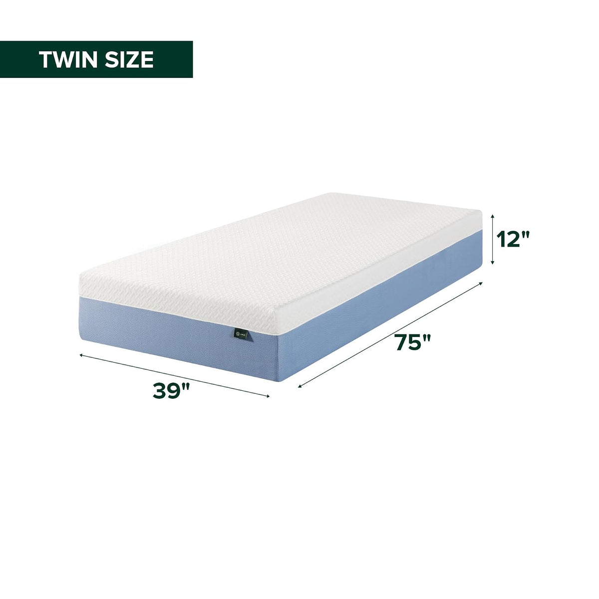 ZINUS - Colchón de Espuma viscoelástica Esencial de té Verde de 8 Pulgadas, Cama en una Caja, colchón asequible, Certificado CertiPUR-US,