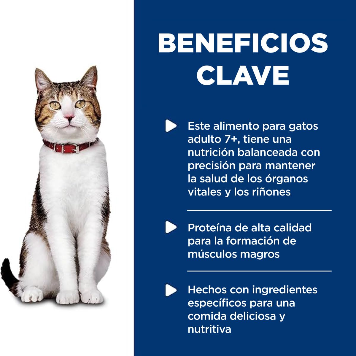 Hill's Science Diet Alimento Húmedo para Gato Adulto Pavo 24 Pack 82G | Alimento húmedo Hill's para gato, pavo real, soporte envejecimiento, salud de corazón y riñones, articulaciones sanas