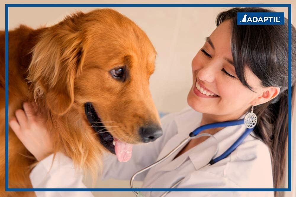 ADAPTIL Spray 60 ml – Calma y Comodidad a los Perros Durante Viajes, visitas veterinarias y Eventos estresantes – The Original D.A.P. Dog Appeasing - Spray de feromonas (60 ml, 1 Unidad)